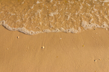 Soft wave of sea on sandy beach