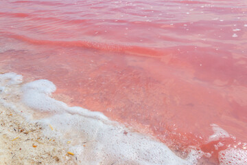 Surface of the pink salty Syvash lake in Kherson region, Ukraine. Natural background, texture