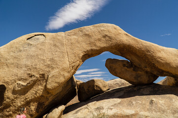 The Joshua tree national park