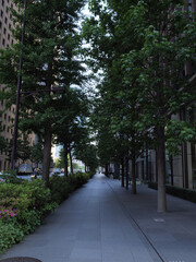 Obraz premium 丸の内・大手町のオフィス街