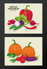 local fresh vegetables letterings in backgrounds beige