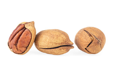 Three pecan nuts isolated on a white background