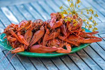 crayfishes on white plate, nacka , stockholm, sweden