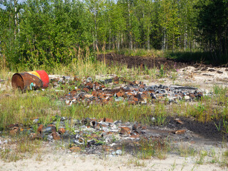 Illegal garbage dump in the forest.