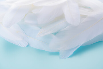 たくさんの羽根