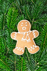 Lebkuchenmann mit Zuckerguss Dekoration auf Tannenzweigen für Weihnachten