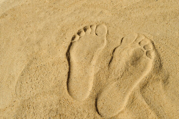 Fototapeta na wymiar close-up - footprints of a man on golden sand on a sunny summer day