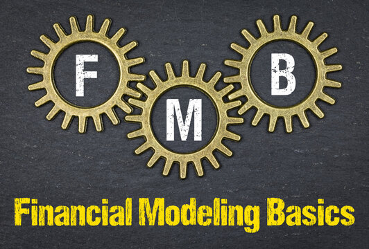 FMB Financial Modeling Basics