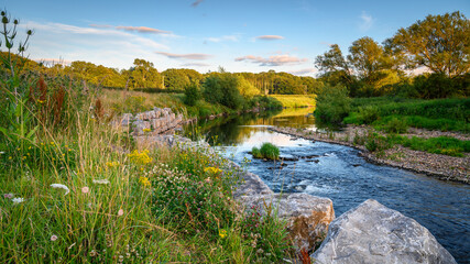 River Wear Wildflower Riverbank, at Bishop Auckland, known as the gateway to Weardale and is a Market Town in County Durham © drhfoto