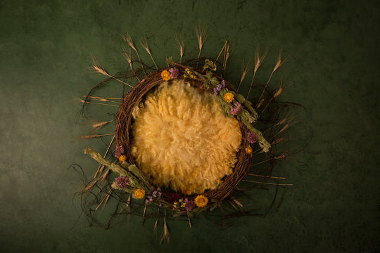 newborn digital backdrop