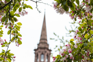 A Steeple in Boston