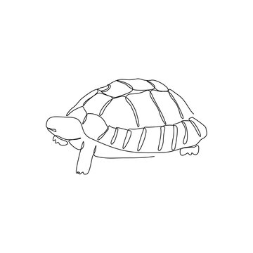 continuous line drawing of turtle tortoise. Single line art concept of aquatic water park. Vector illustration