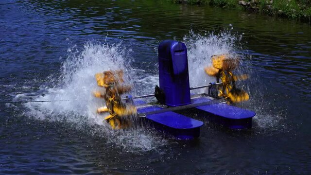 Umw&auml;lzer in einem Fischteich