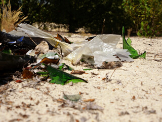 Rubbish, glass bottles on the ground in the forest.