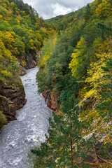 Fototapeta na wymiar Big hills covered by an autumn forest and a deep narrow rock canyon with a fast mountain river