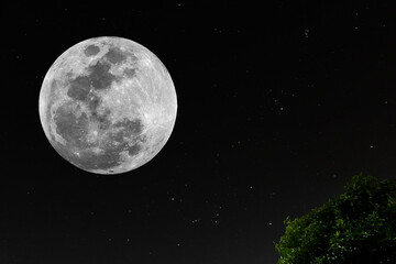 Fototapeta na wymiar Full moon with real stars in the dark night.