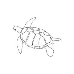 continuous line drawing of sea turtle. Single line art concept of aquatic water park. Vector illustration