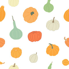 Vector seamless pattern with colorful squashes and gourds on white background. Great for fabrics, wrapping papers, wallpapers, covers. Autumn farming garden theme. Different varieties of pumpkins.