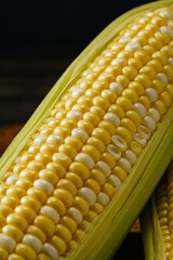 とうもろこし