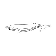 Continuous line drawing of swimming big whale in the sea. One line drawing concept of under water concept. Vector illustration