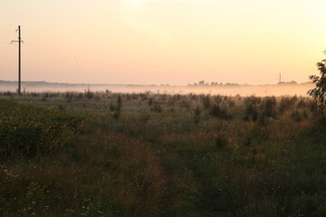 morning fog over the field