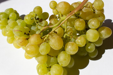 close up bunch of sweet fresh organic green grapes summer autumn harvest concept 