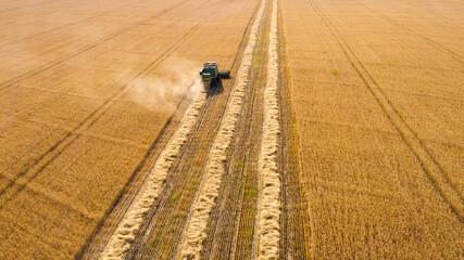 Aerial top view harvester machine working in fields