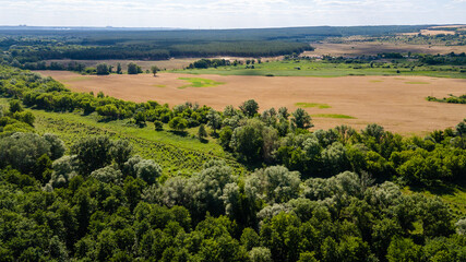 Obraz premium Gorgeous aerial landscape panorama. Forests with blue sky