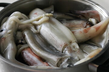 Seafood. Just caught squid. Protein natural food.