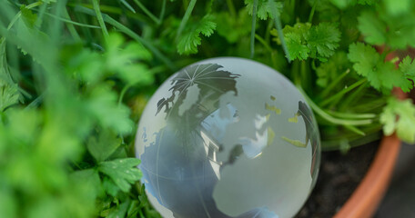 earth green concept glass sphere.