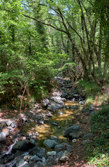 Fototapeta na wymiar The stone mountain path - the part of nature hiking trail to the Millomeris waterfall. Platres, Cyprus.