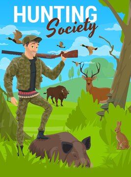 Hunting, forest deer and wild animals, hunter with rifle on trophy, vector. Hunting season for deer stag, boar hog and rabbit, and ducks, hunter in camouflage and bandoleer bullet belt ammunition