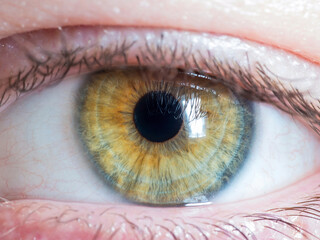 close up of human eye