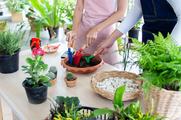 asia handsome man and beautiful woman taking care of her potted plants at home