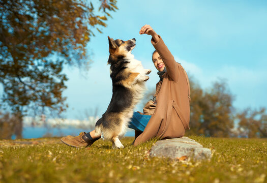 Puppy Love: The Emotional Connection in Dog Ownership