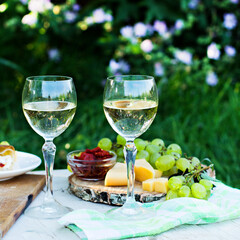White wine and light snacks, Grapes, wine, cheese, pie. Summer romantic dinner in nature.