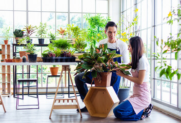 asia handsome man and beautiful woman taking care of her potted plants at home