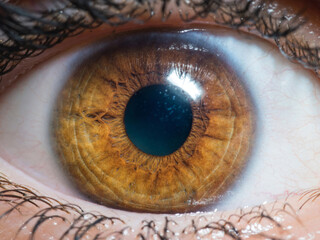 close up of human eye
