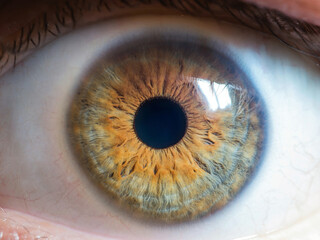 close up of human eye