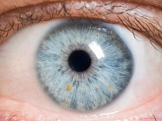 close up of human eye