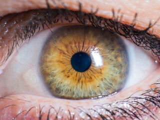 close up of human eye
