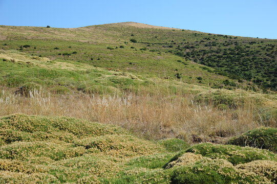 Monte Cuculo