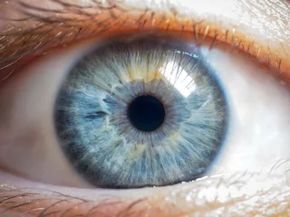 Foto op Aluminium close-up van het menselijk oog © jakubstepan