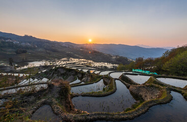 Fototapeta premium Yuanyang rice terrace, Yunnan, China