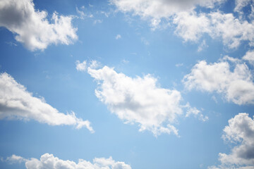 Fototapeta premium Scraps of white cumulus clouds against a piercing blue sky