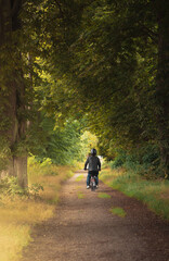 Exploring the forest by moped, lonely journey by motorbike through the forest, guy on moped driving down a dirt road