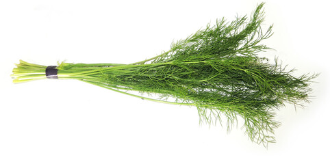 fennel leaf