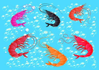 Shrimp pattern. Multicolored, volumetric design. Forward and reverse direction. Simple isolated vector.