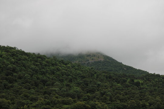 fog in the mountains