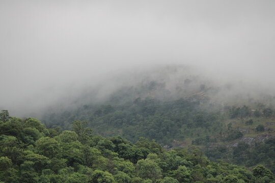 fog in the mountains